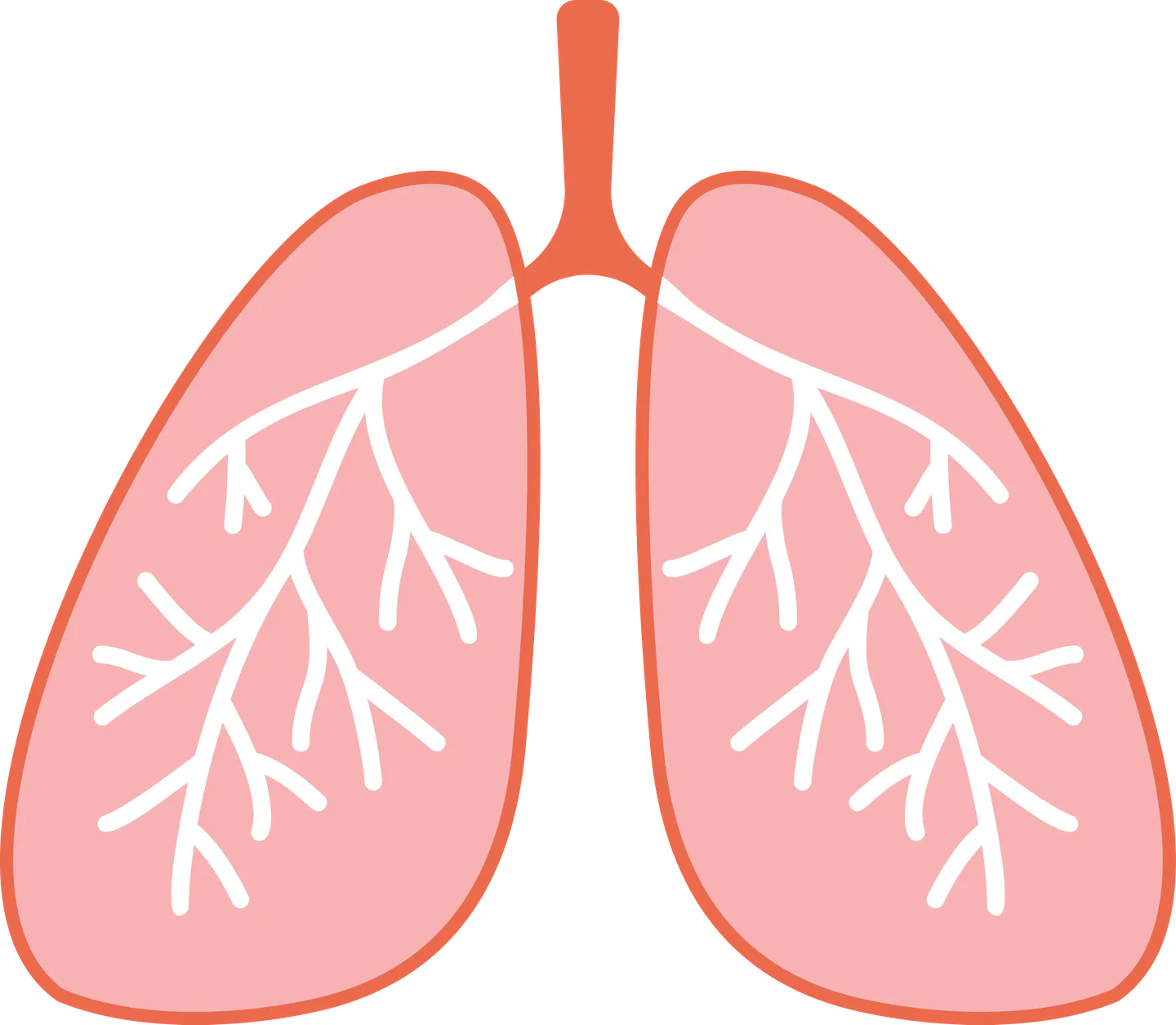 Infrared sauna with halotherapy for respiratory health improvement