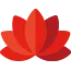 Wellness Services