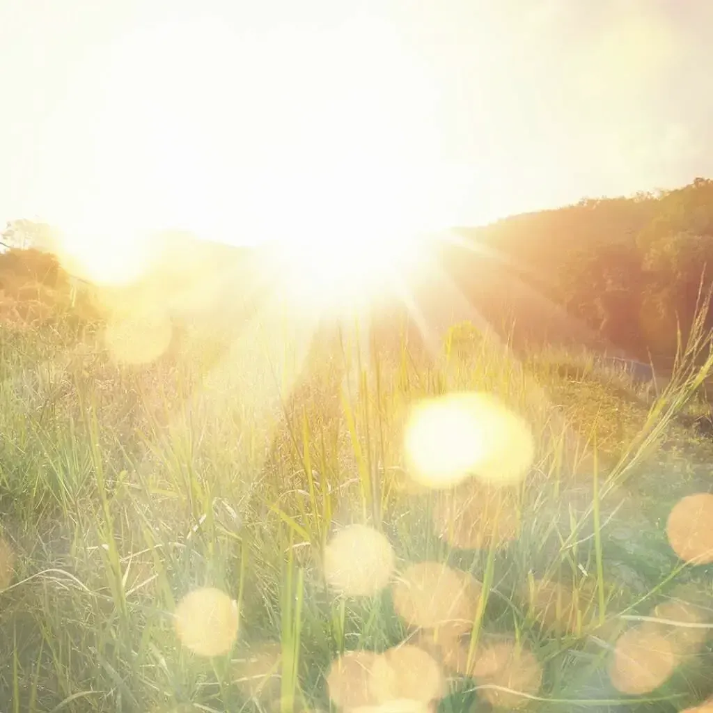 The Benefits of Sunlight: Embrace a Radiant Boost for Your Day