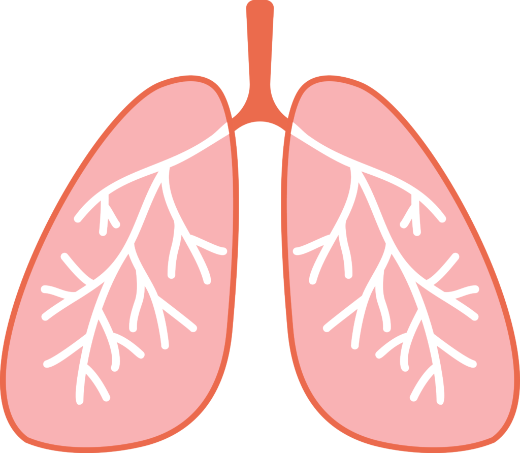 Infrared sauna with halotherapy for respiratory health improvement