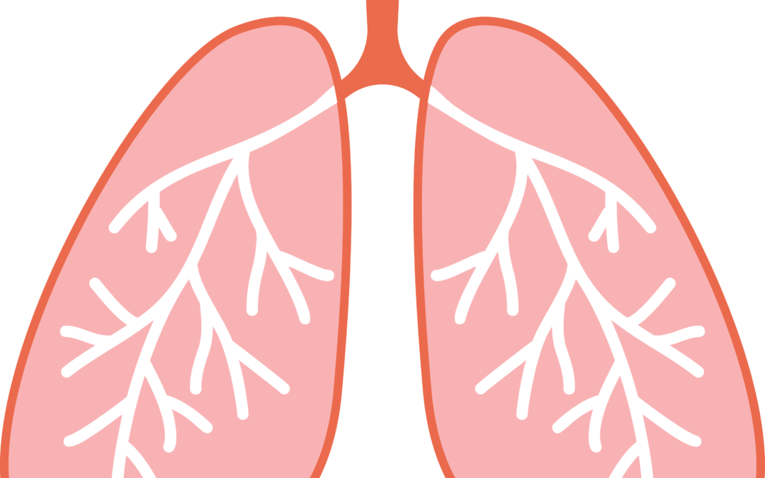 Respiratory Health Benefits of the Halo Sauna Max