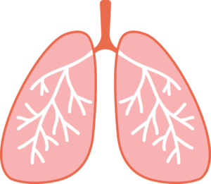 Infrared sauna with halotherapy for respiratory health improvement