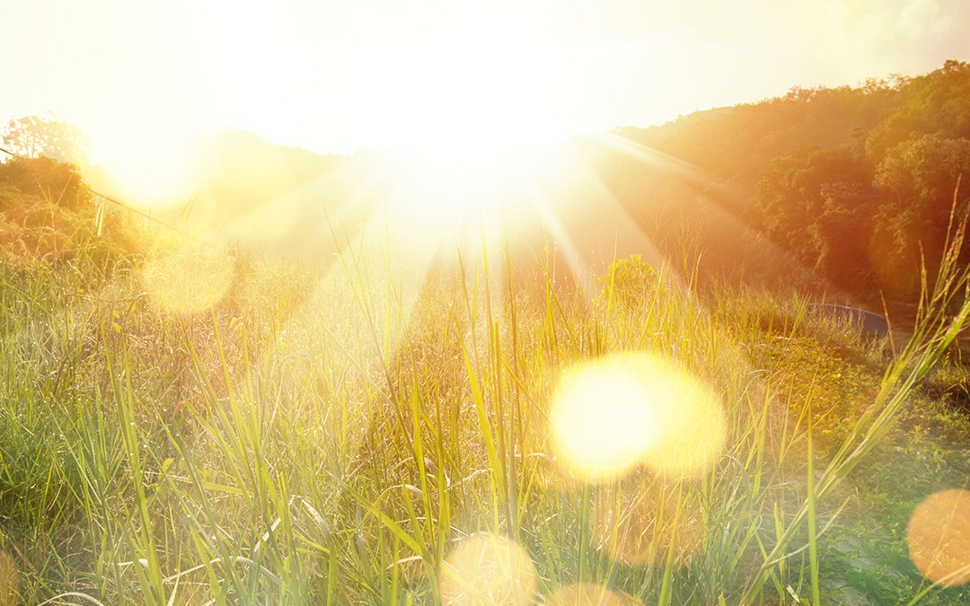 The Benefits of Sunlight: Embrace a Radiant Boost for Your Day